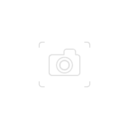 Epson L120